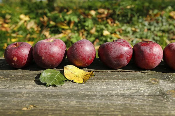 Jablka v řadě na dřevěném prkénku — Stock fotografie