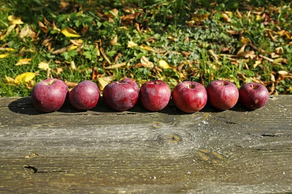 Jablka v řadě na dřevěném prkénku — Stock fotografie