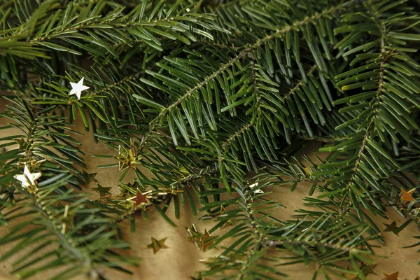 Abeto verde y estrellas doradas —  Fotos de Stock