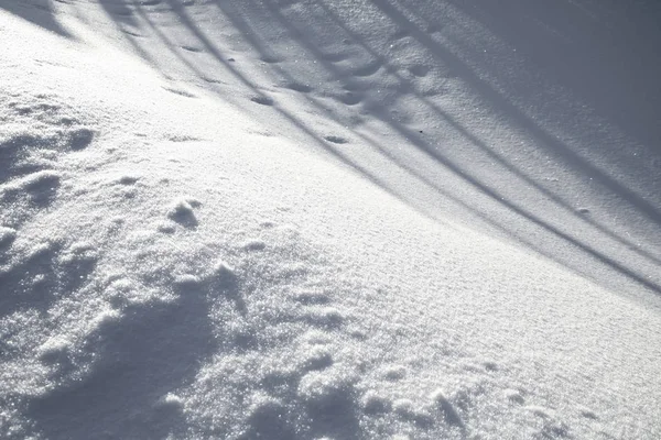 Neve inclinação fundo — Fotografia de Stock