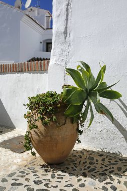 toprak kap İspanyol Endülüs şehrin sokakta çiçekli