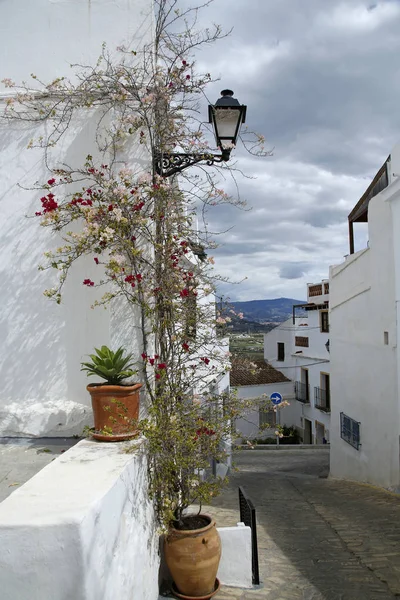 Mediterranean rua estreita espanhola decorada com flores — Fotografia de Stock