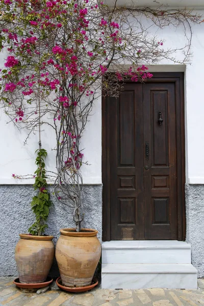 Деревянная дверь украшена красивыми розовыми цветами в глиняных горшках — стоковое фото