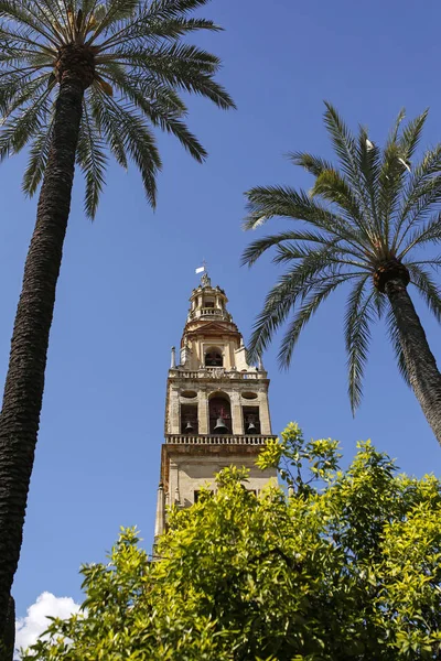 Klocktornet i moskén-katedralen i Cordoba, Andalusien, Spanien — Stockfoto