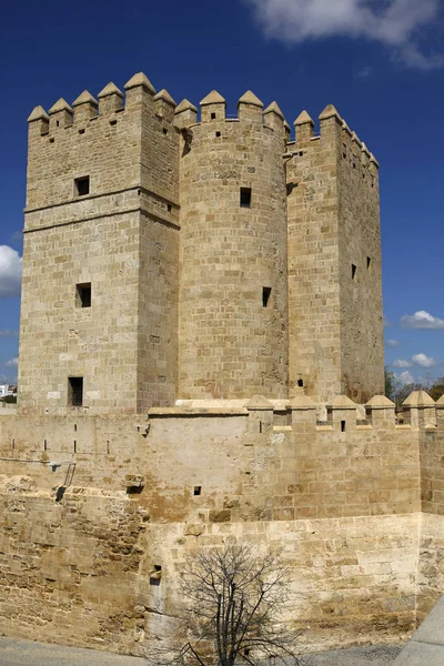 La Torre di Calahorra e il Ponte Romano a Cordova, Andalusia, Spagna — Foto Stock