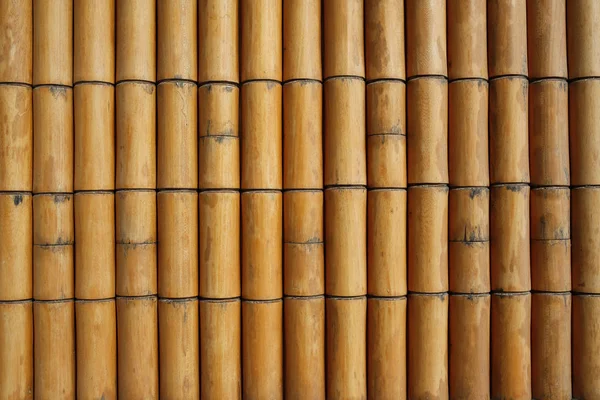 Bambuszaun Hintergrund oder Textur — Stockfoto