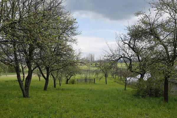 Våren landsbygdens landskap med fruktträdgården — Stockfoto