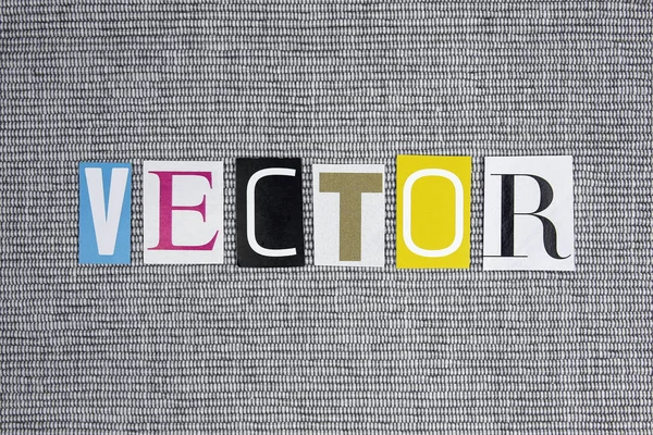Vektor-Wort auf grauem Hintergrund — Stockfoto