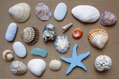 Deniz tema arka plan