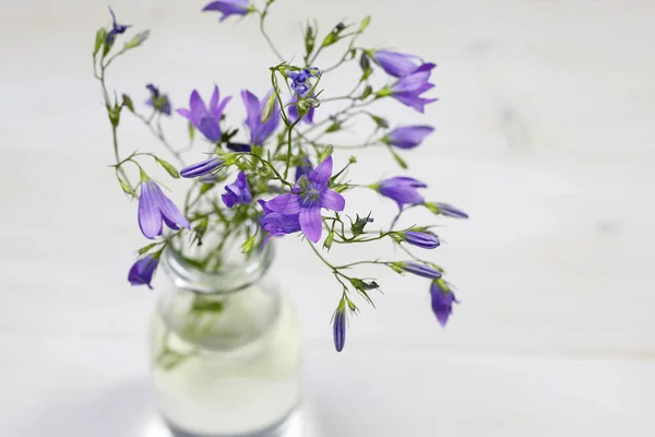 Bouquet de fleurs fraîches d'été (campanula) dans un vase en verre sur fond de bois blanc — Photo