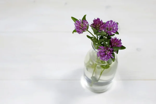 Bouquet of pink clovers in glass vase on white background — Stock Photo, Image