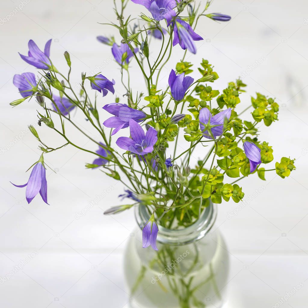 Bouquet of summer fresh flowers (campanula) in glass vase on white wooden background