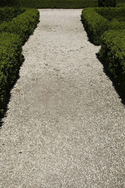 Gravel path between green hedges — Stock Photo, Image