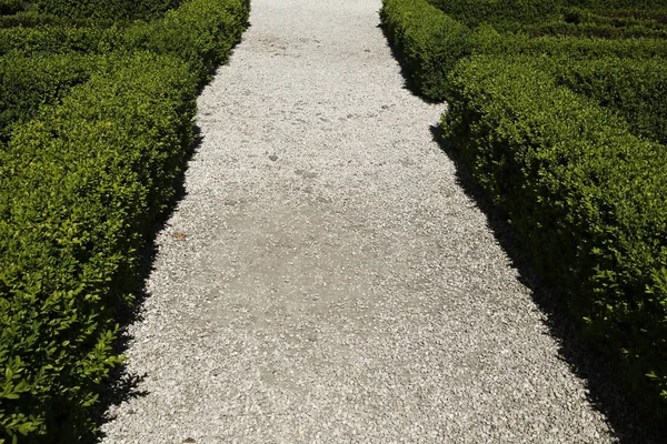 Caminho de cascalho entre sebes verdes — Fotografia de Stock