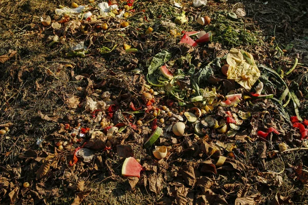 Komposzt szemetes a kertben — Stock Fotó