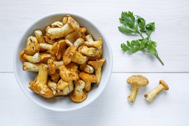 Maydanoz beyaz arka plan üzerinde bir kase ile taze hasat Cantharellus cibarius mantar