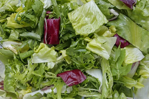 Frische gemischte Salatblätter Hintergrund — Stockfoto