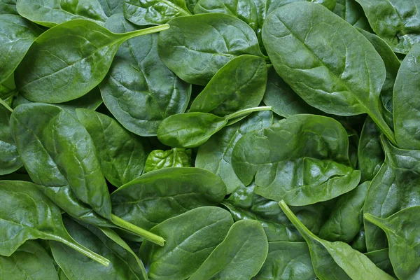 Fresh baby spinach background — Stock Photo, Image