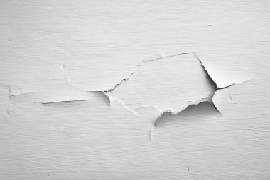 beyaz duvar arka plan boyalı peeeling