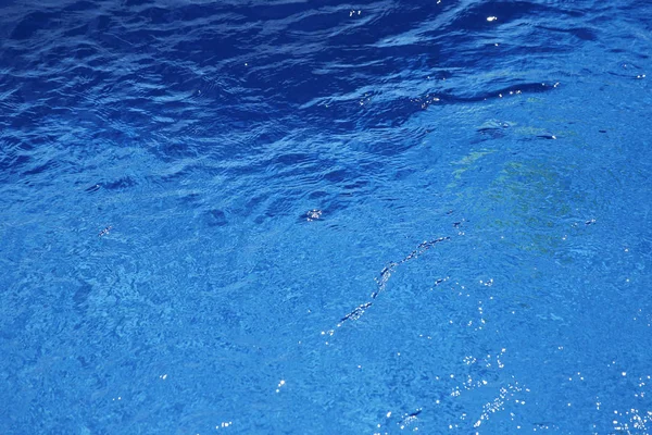 Голубая вода в бассейне с солнечными рефлексами — стоковое фото