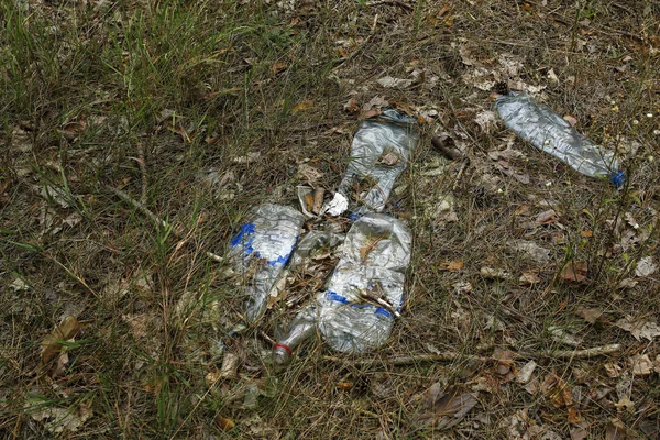 plastic bottle on forest floor, devastation of nature