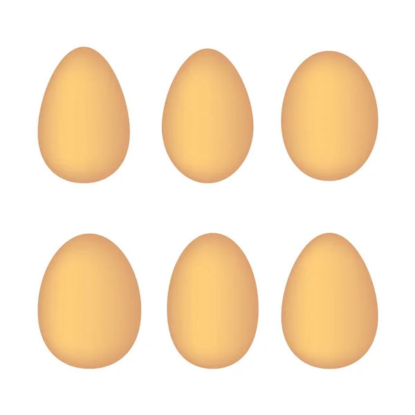 Conjunto de huevos sobre fondo blanco — Vector de stock