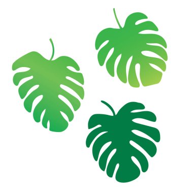 palmiye ağacı yaprakları, Monstera tropikal bitki-vektör çizim