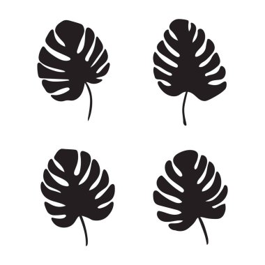 siyah palmiye yaprakları, Monstera tropikal bitki-vektör çizim