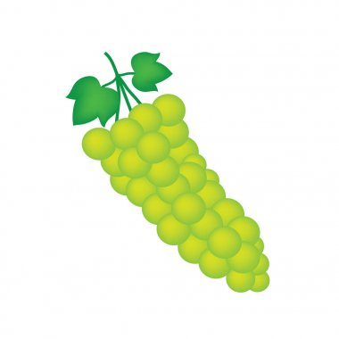 beyaz şarap üzüm-vektör çizim demet