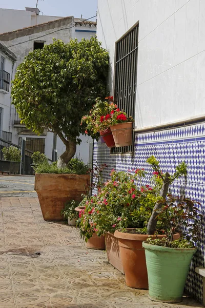 美丽的西班牙文街装饰着花朵 — 图库照片
