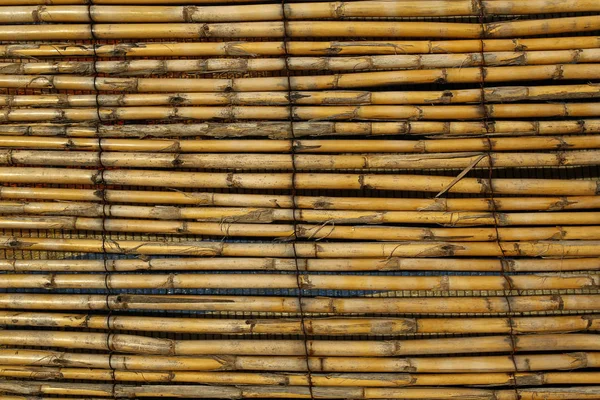 Cerca de bambú fondo o textura —  Fotos de Stock