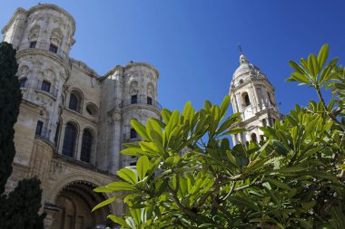 Katedral Málaga, Costa del Sol, Endülüs, İspanya