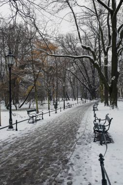 boş yol kış sahne Planty Park, Krakow, Polonya