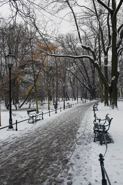 Empty path in the winter scenery Planty Park in Krakow, Poland