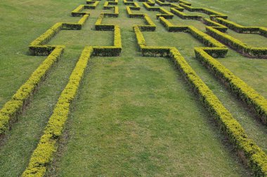 geometrik hedge Labirent, natral arka plan
