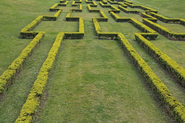 Geometrische Hedge Doolhof Natral Achtergrond — Stockfoto