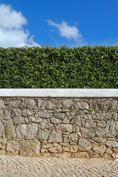 Old stone wall, hedge and blue sky — Stok Foto