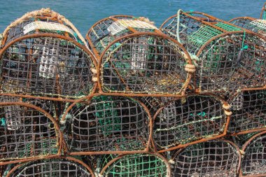 ıstakoz balıkçılık tencere iskelede Yengeç