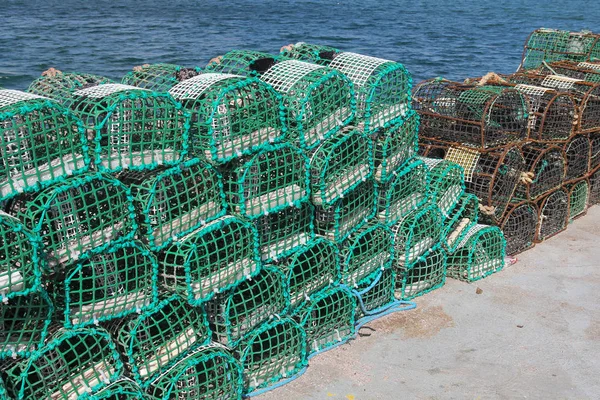 Granchio Aragosta Pentole Pesca Sul Molo — Foto Stock
