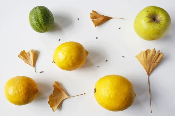 Flat lay composition of lemons, lime, apple fruits with ginkgo leaves on white table — Stock Photo, Image
