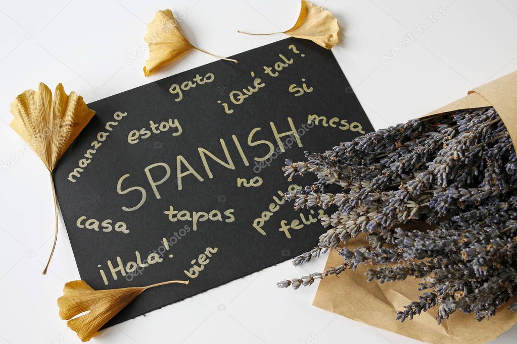 concept of learning spanish language