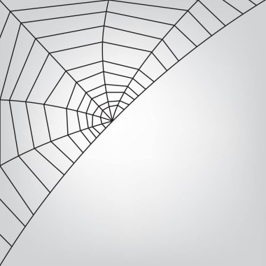 örümcek ağı tasarlamak vektör çizim