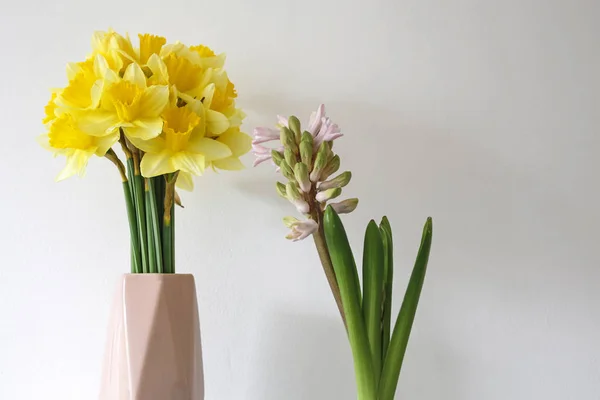 Narcisos y jacinto contra pared blanca con espacio para copiar —  Fotos de Stock