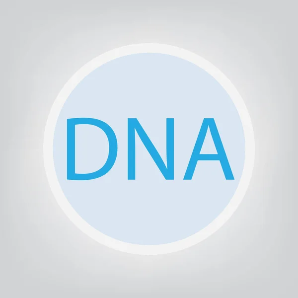 ДНК (дезоксирибонуклеїнова кислота) акронімно-векторна ілюстрація — стоковий вектор