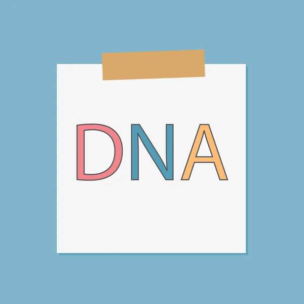ДНК (дезоксирибонуклеїнова кислота) написана в блокнотній папері Векторні ілюстрації — стоковий вектор