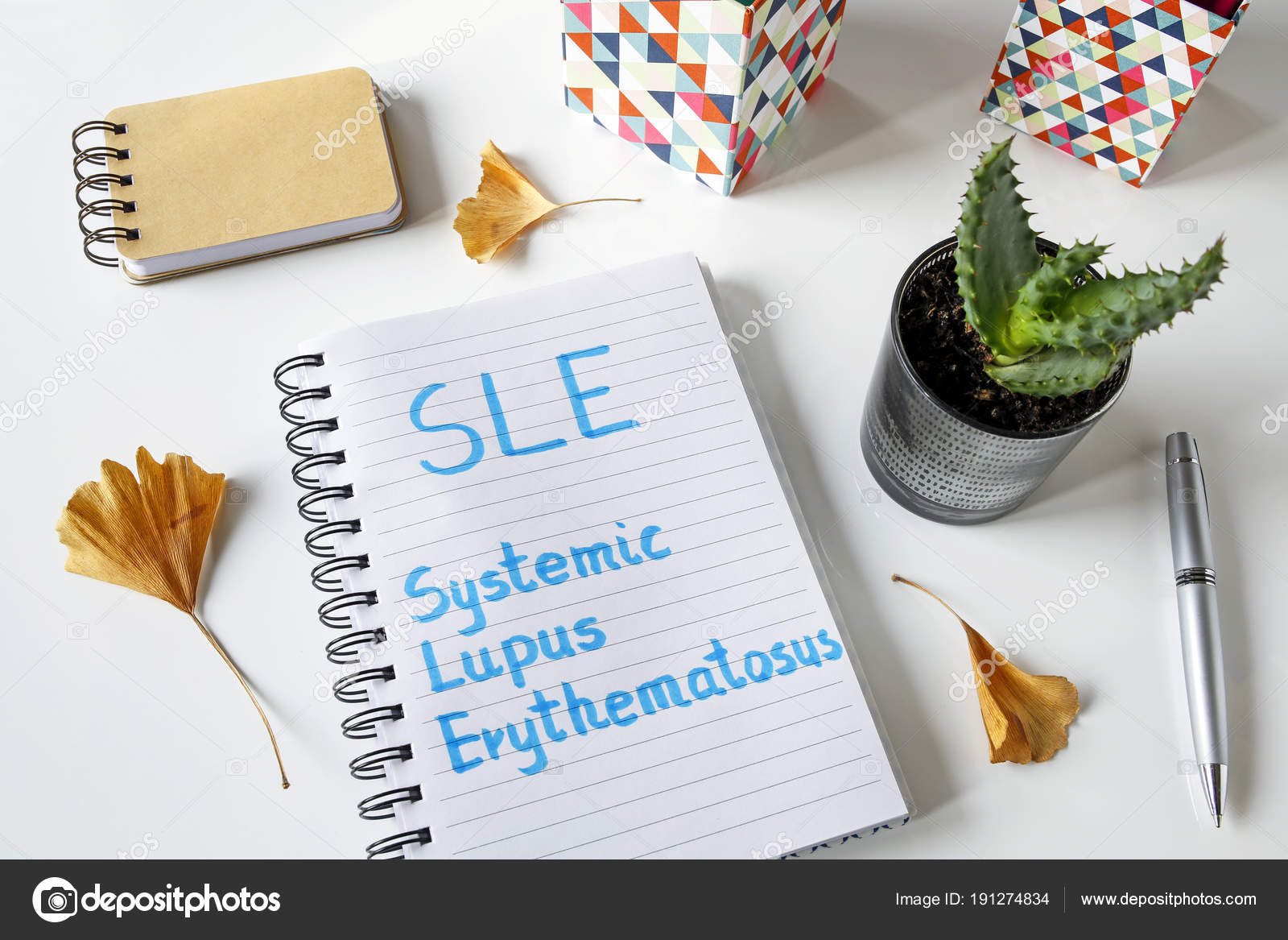 Plagiarism thesis statements located