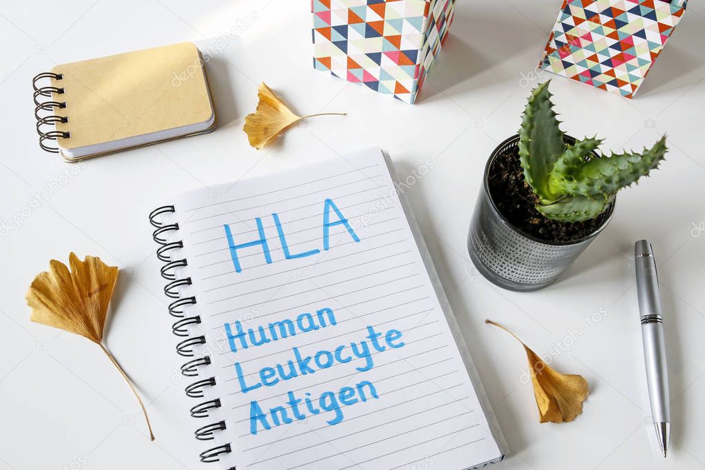 human leukocyte antigen HLA written in a notebook on white table