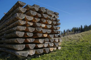 İnşaat için ahşap kütükler.