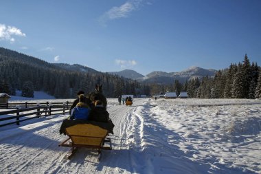 Tatra Dağları, Polonya, 16 Aralık 2018: Güneşli bir günde Chocholowska Vadisi 'nde turistlerle atlı kızak gezisi
