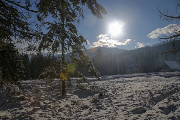 Renkli mercekli kış manzarası — Stok fotoğraf